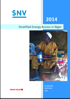 Stratified Energy Access in Niger